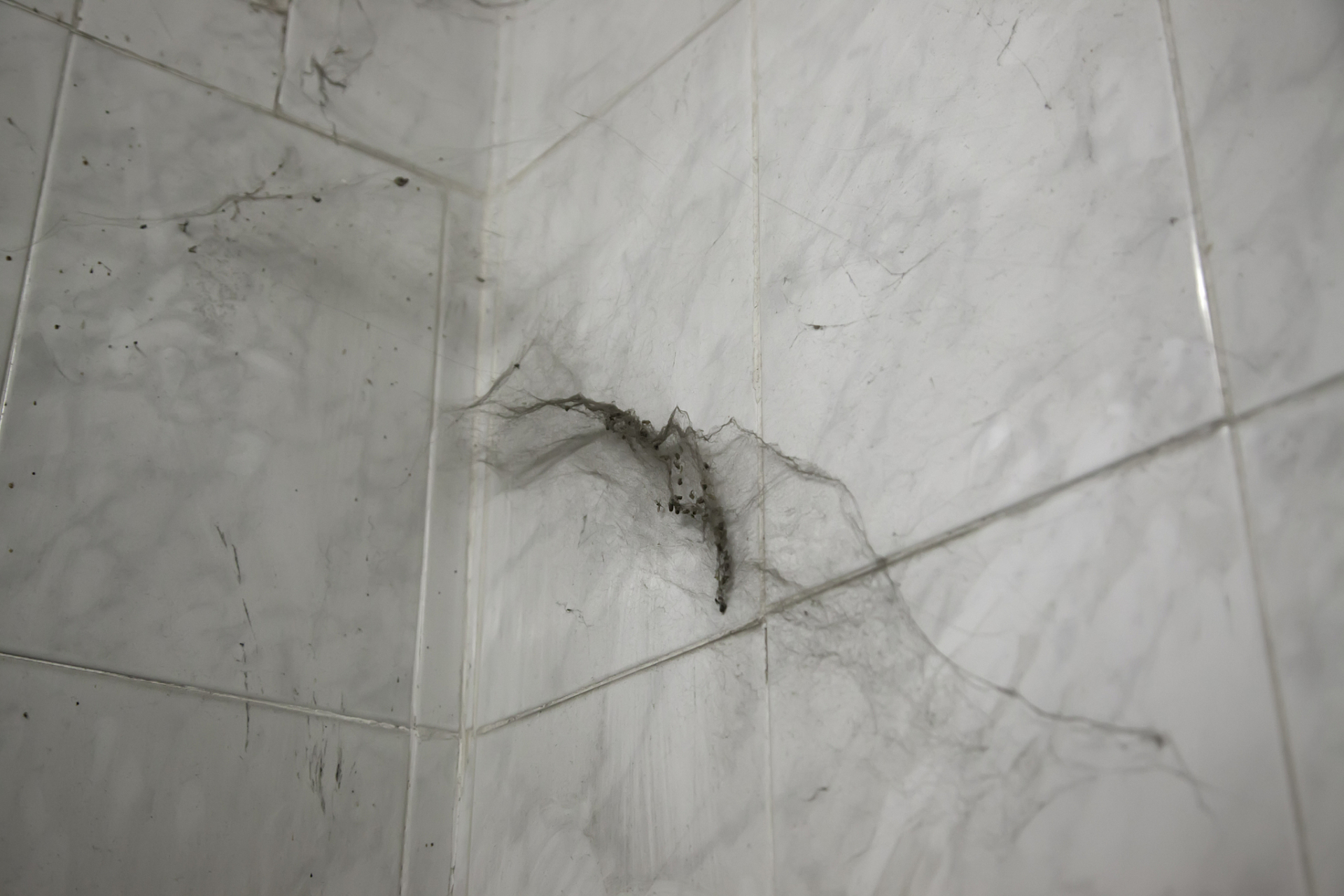 墙砖空鼓怎么处理好呢视频(针对近两年墙砖空鼓的现象的维修方法)